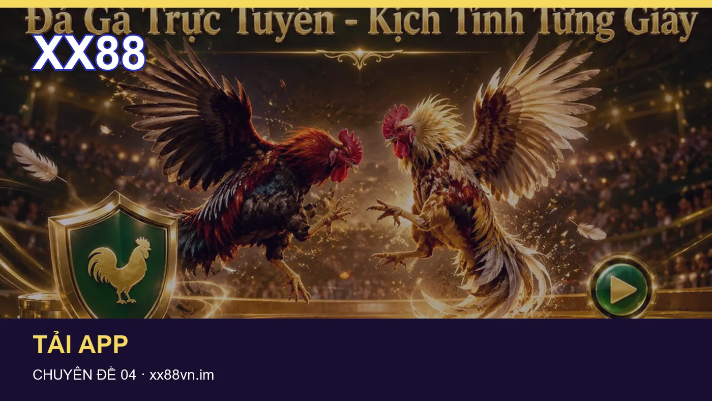 Những nhầm lẫn thường gặp khi đọc nội dung Thể thao trên XX88 | xx88vn.im